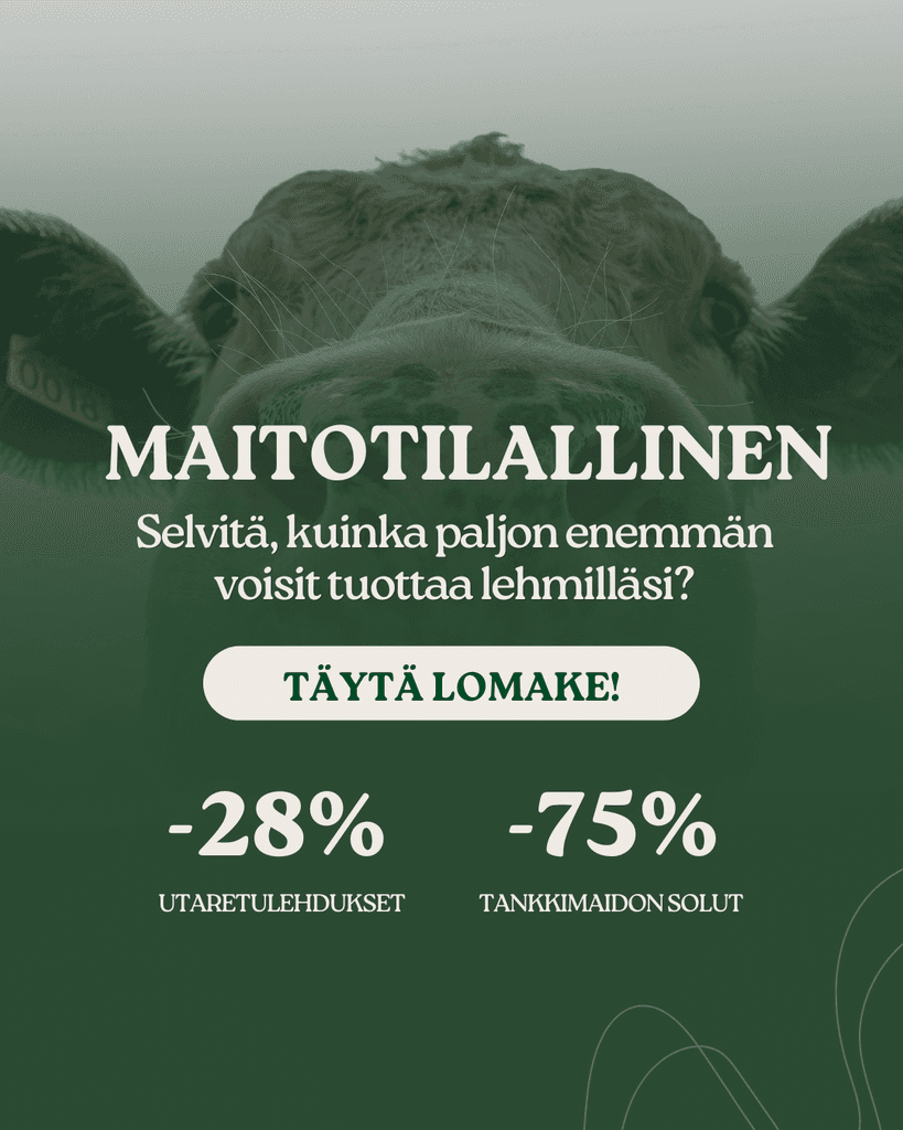 Maitotilallinen